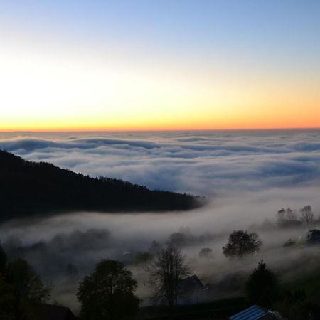 Appartamento Bergweide 36 Sasbachwalden Esterno foto