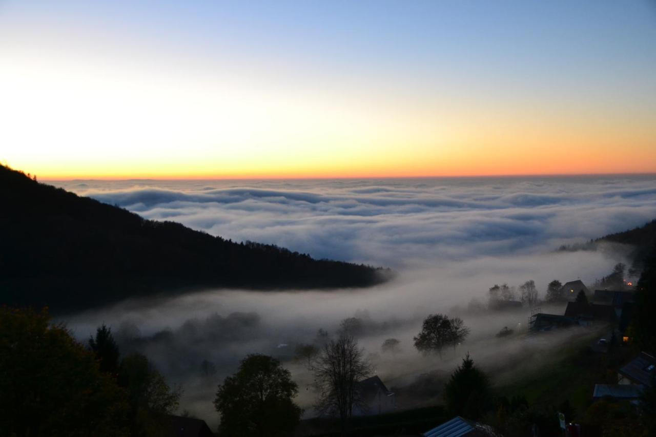 Appartamento Bergweide 36 Sasbachwalden Esterno foto